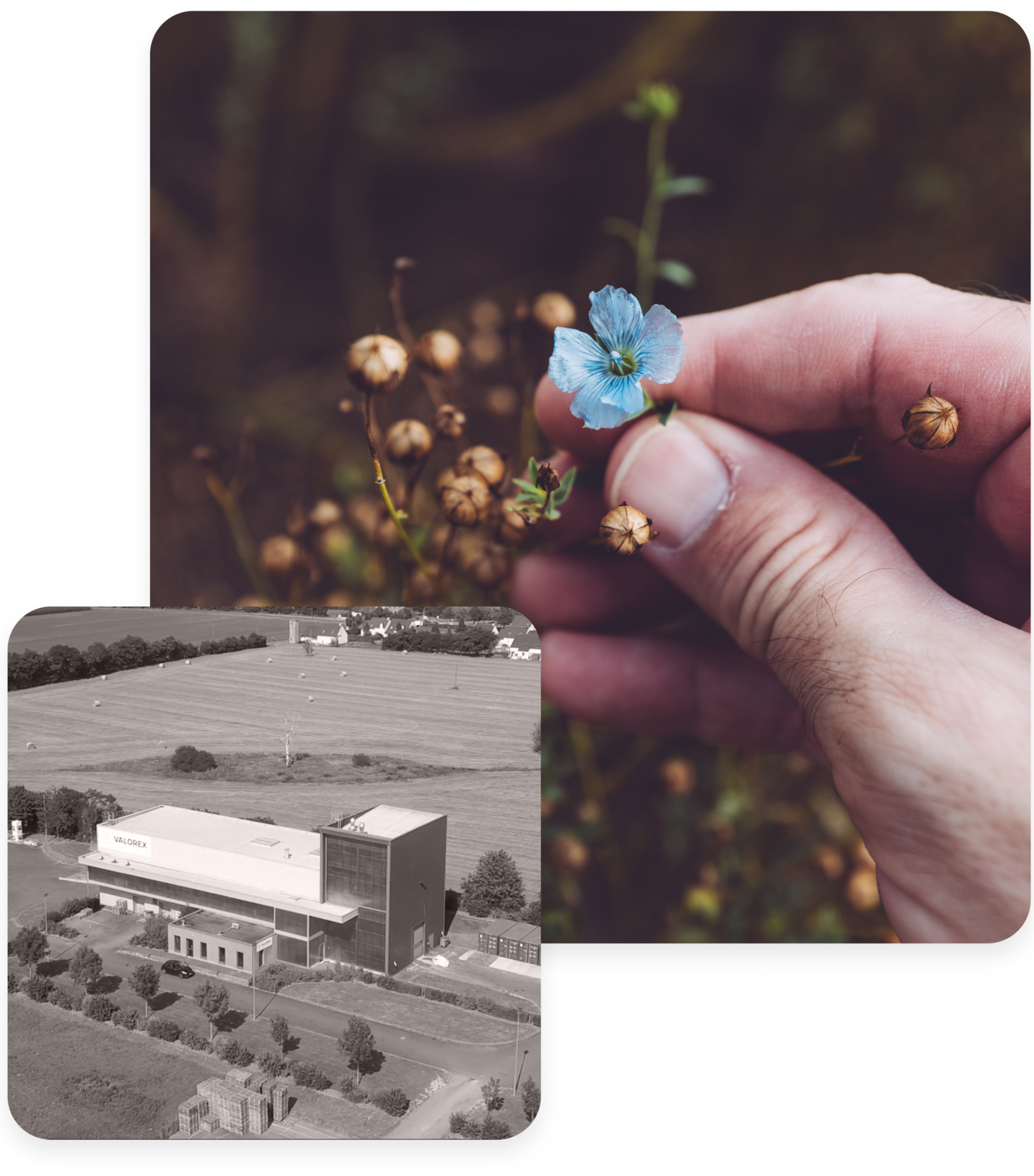 Notre savoir-faire